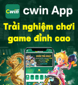 CWIN05 ẢNH WIDGET